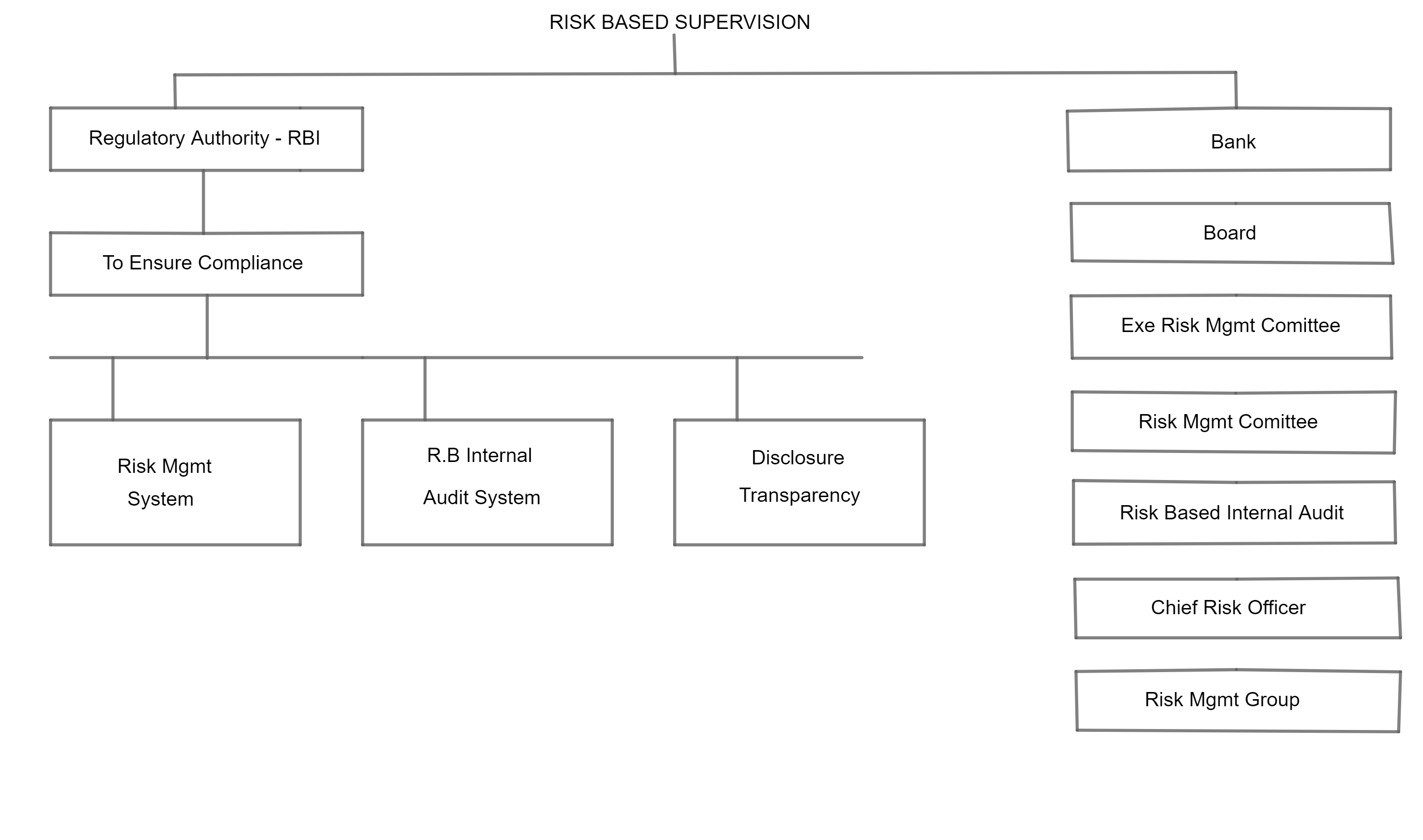 risk-based-supervision-icon